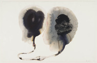 KT 2002 009
<br/>
Zonder titel (uit de serie "Arcadisch voorspel")
<br/>
<em>Wit, Hans de (1952)</em>